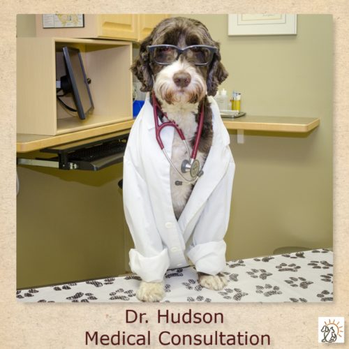 STAFFING CHANGES AT SAULT STE. MARIE ANIMAL CLINIC EFFECTIVE IMMEDIATELY