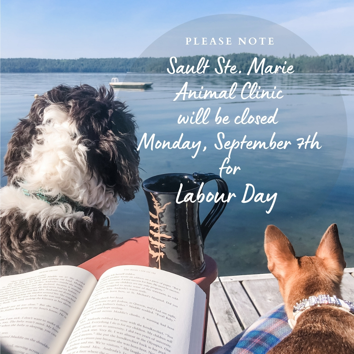 Happy labour day weekend