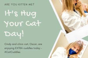 Veterinary assistant hugging clinic cat for Hug Your Cat Day