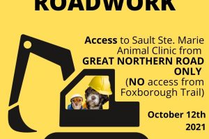 Dogs wearing hardhats in big machine