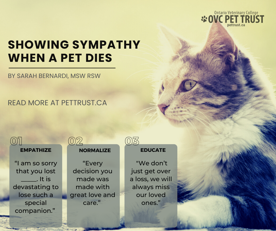 World Pet Memorial Day June 14th 2022 Sault Ste. Marie Animal Clinic