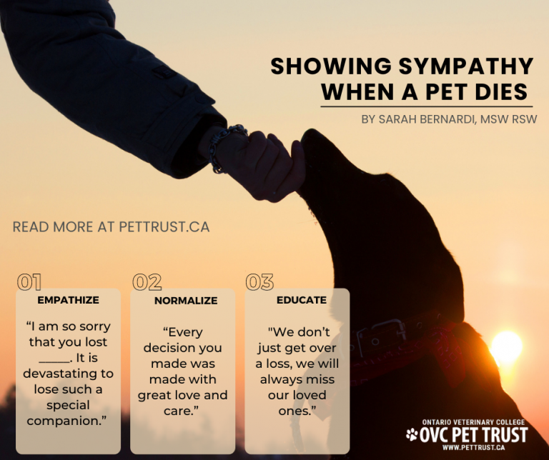 World Pet Memorial Day June 14th 2022 Sault Ste. Marie Animal Clinic